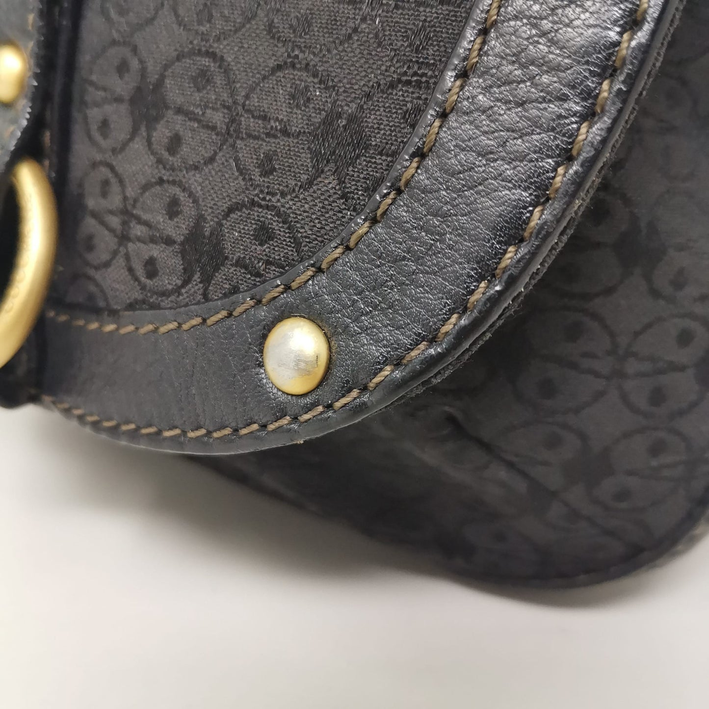 Coccinelle