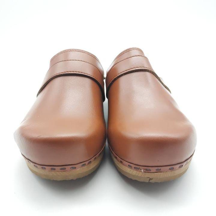 Dr. Sholl's