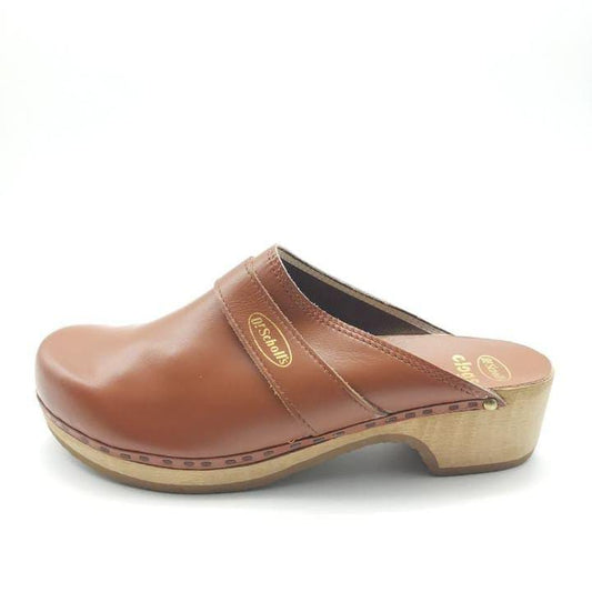 Dr. Sholl's